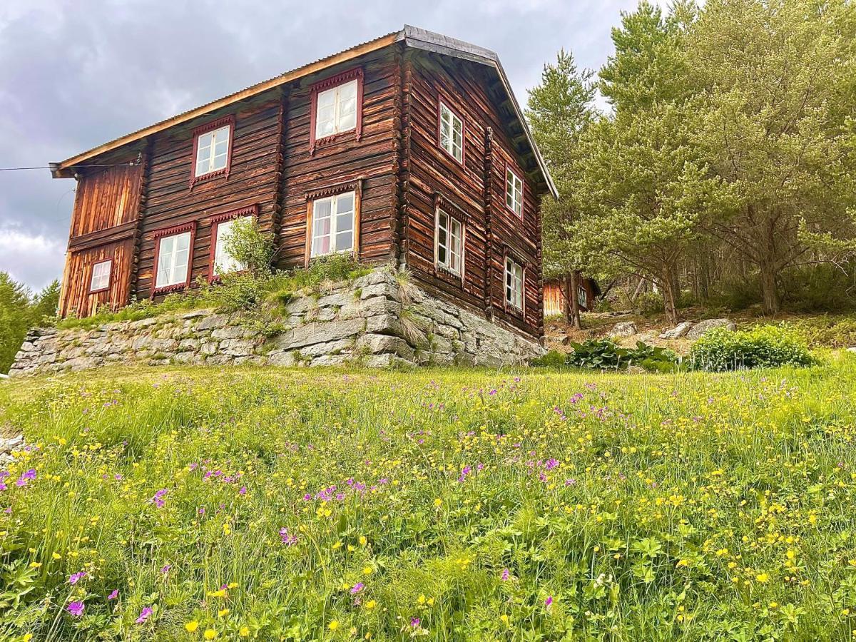 Reinheimen Lodge Skjak Exterior photo